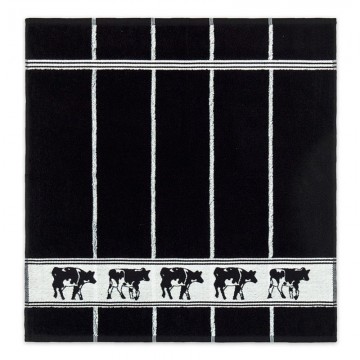 Ddddd zwart bont black kt